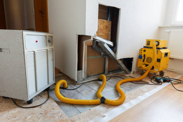 Best HVAC Mold Inspection and Cleaning  in USA